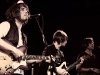fleet-foxes