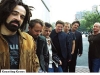 countingcrows
